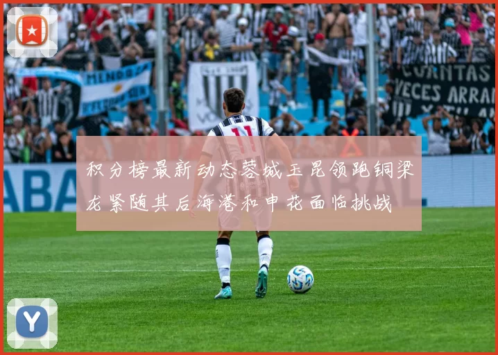 积分榜最新动态蓉城玉昆领跑铜梁龙紧随其后海港和申花面临挑战
