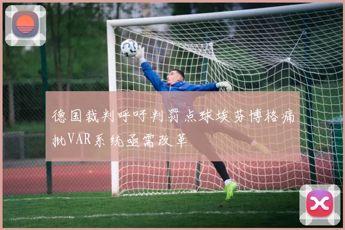德国裁判呼吁判罚点球埃芬博格痛批VAR系统亟需改革