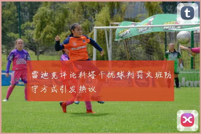 雷迪克评论科塔干扰球判罚文班防守方式引发热议
